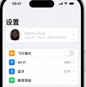 渭城appleID维修服务iPhone设置中Apple ID显示为灰色无法使用