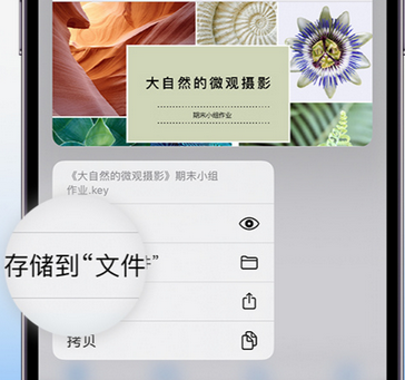 渭城apple维修中心分享iPhone文件应用中存储和找到下载文件