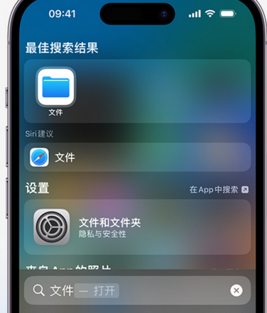 渭城apple维修中心分享iPhone文件应用中存储和找到下载文件