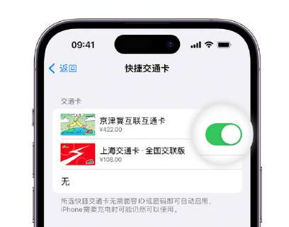 渭城apple维修点分享iPhone上更换Apple Pay快捷交通卡手绘卡面 