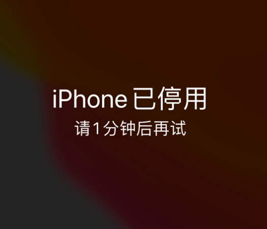 渭城苹果手机维修分享:iPhone 显示“不可用”或“已停用”怎么办？还能保留数据吗？ 