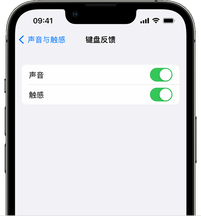 渭城苹果14维修店分享如何在 iPhone 14 机型中使用触感键盘 