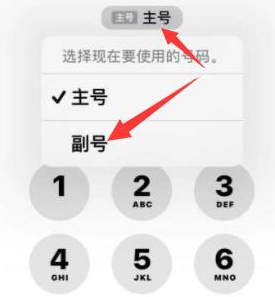 渭城苹果14维修店分享iPhone 14 Pro Max使用副卡打电话的方法 