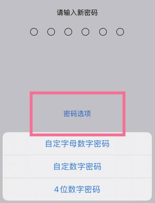 渭城苹果14维修分享iPhone 14plus设置密码的方法 