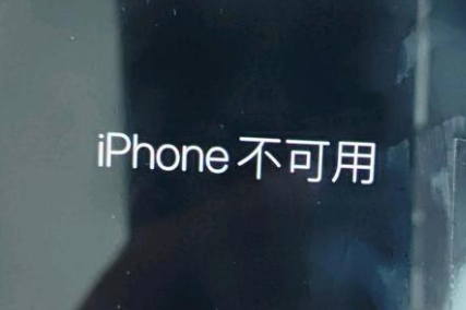 渭城苹果服务网点分享锁屏界面显示“iPhone 不可用”如何解决 