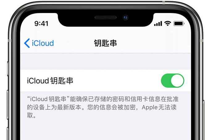 渭城苹果手机维修分享在 iPhone 上开启 iCloud 钥匙串之后会储存哪些信息 