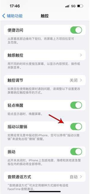 渭城苹果手机维修分享iPhone手机如何设置摇一摇删除文字 